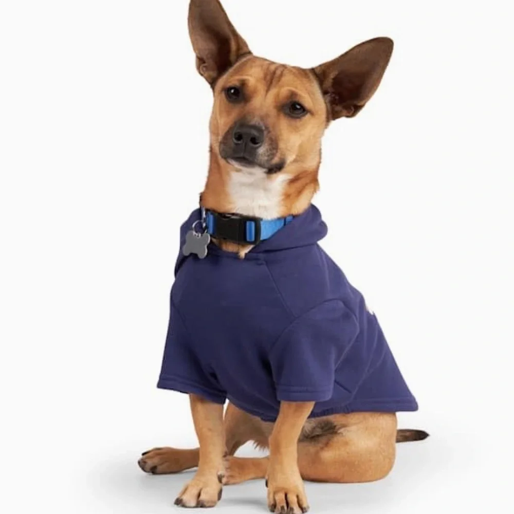 NWT Pride “You do you” dog hoodie XXL